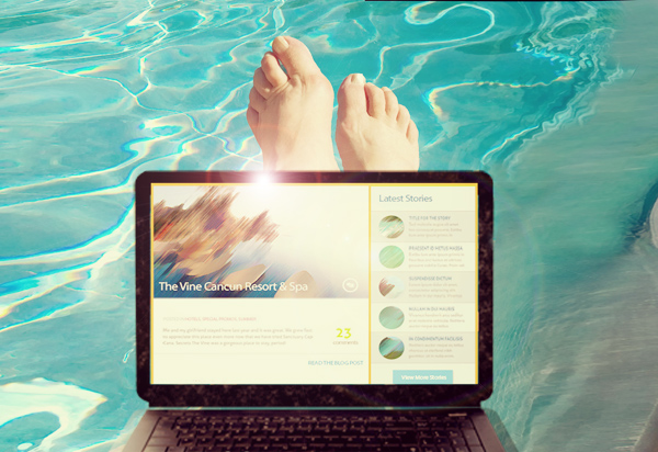 blog / wordpress / cms